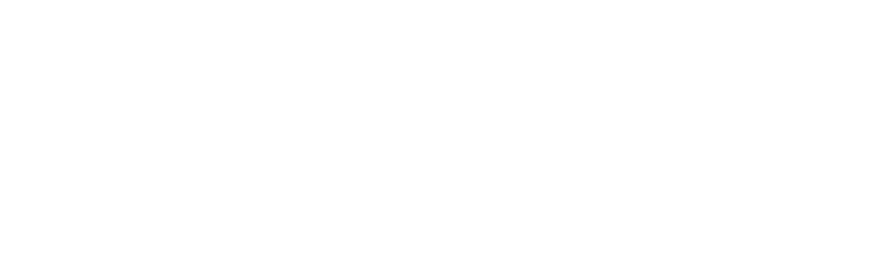 Pro Helvetia, Swiss Arts Council